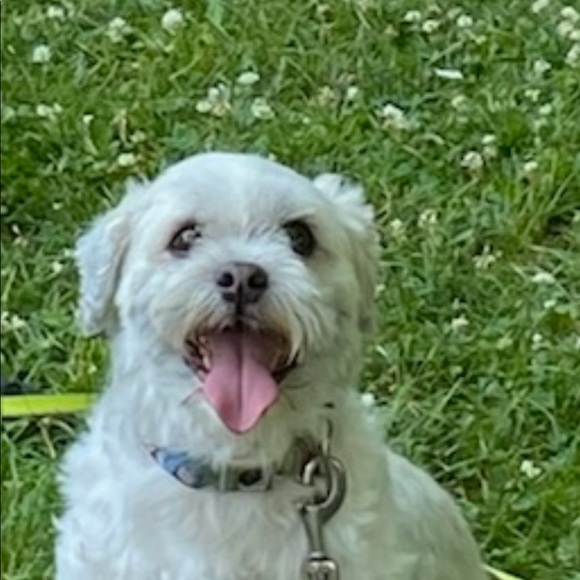 Meet your Posher, Sonam - Picture 1 of 1